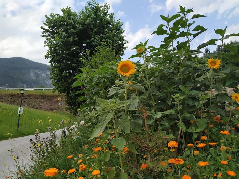 Upcycling Appartement Fischl - Nachhaltig Und Kreativ Wohnen Fuer Gross Und Klein Jenbach Bagian luar foto